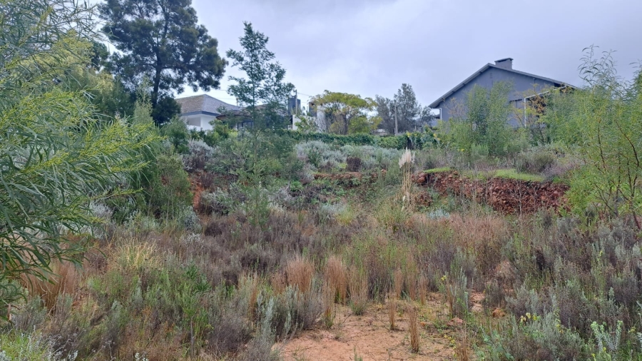 0 Bedroom Property for Sale in Caledon Western Cape